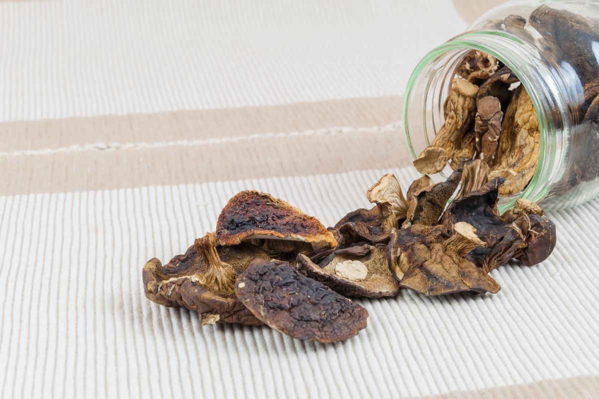 dried-mushrooms-falling-out-of-a-jar